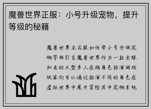 魔兽世界正服：小号升级宠物，提升等级的秘籍